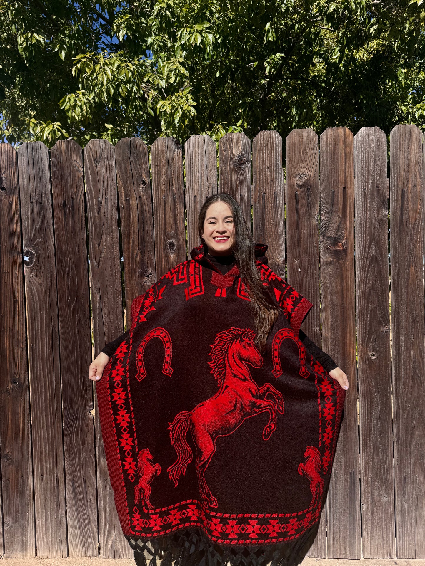 Caballo Poncho