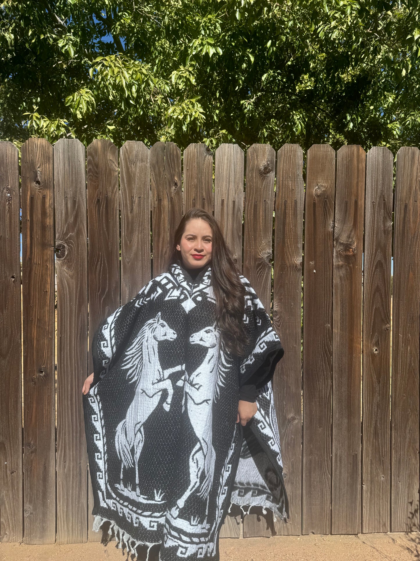 El caballo poncho