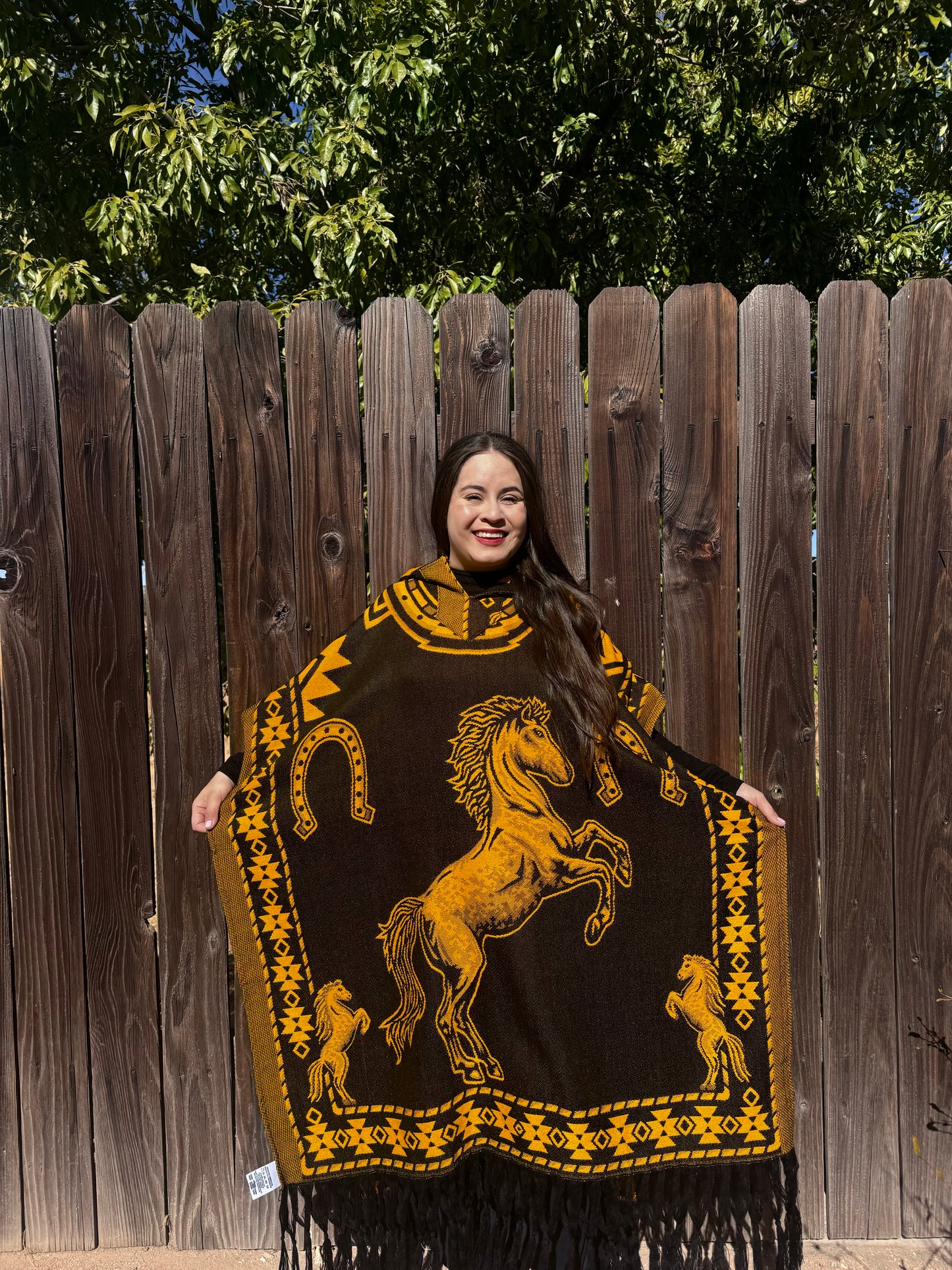 Caballo Poncho