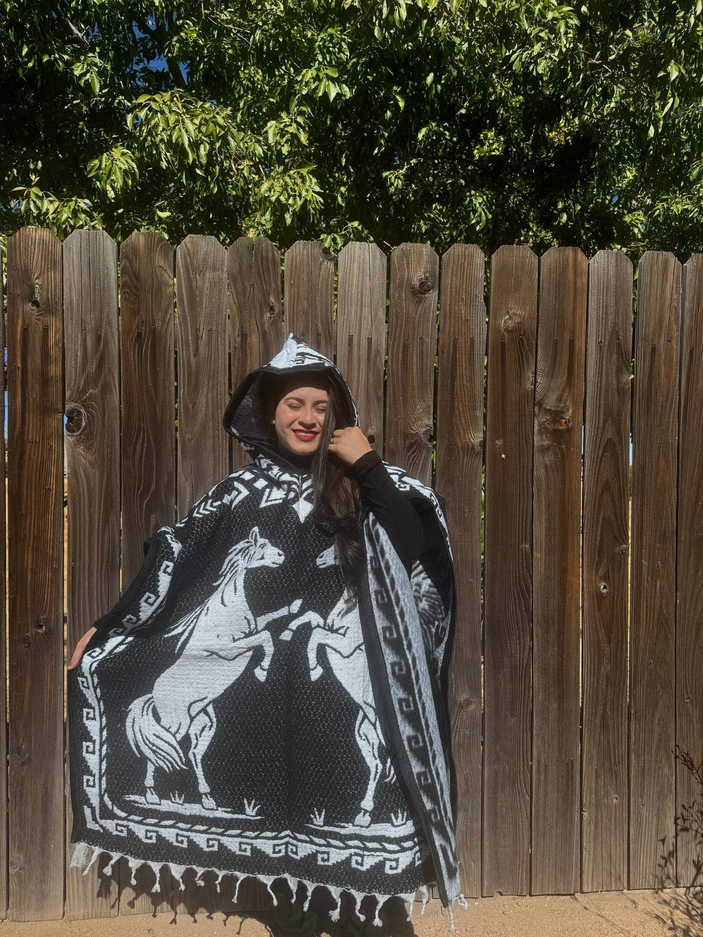 El caballo poncho