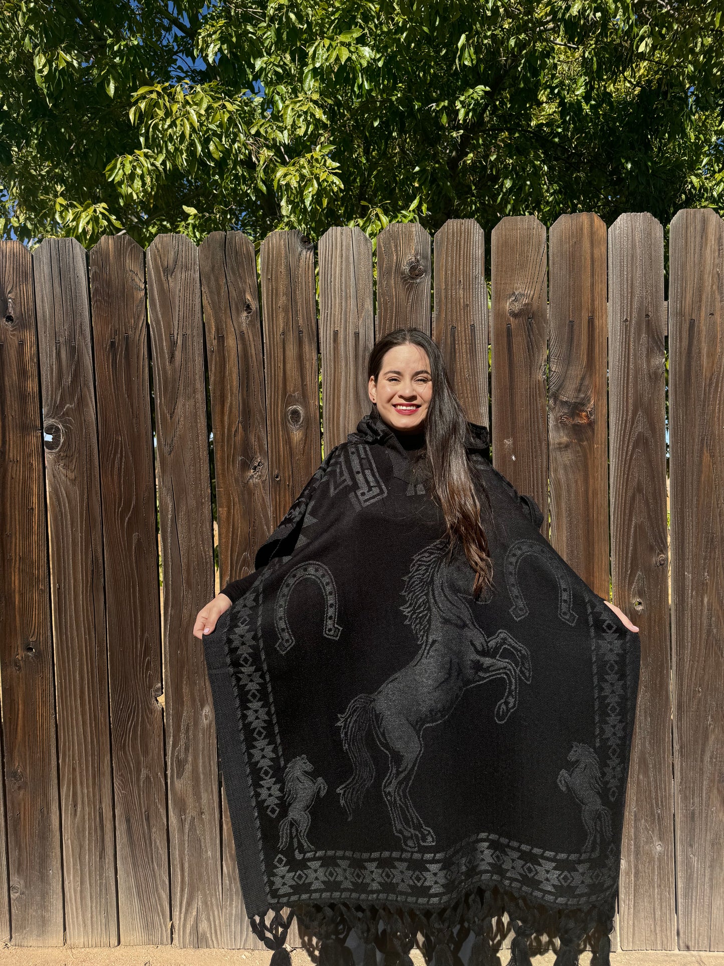 Caballo Poncho