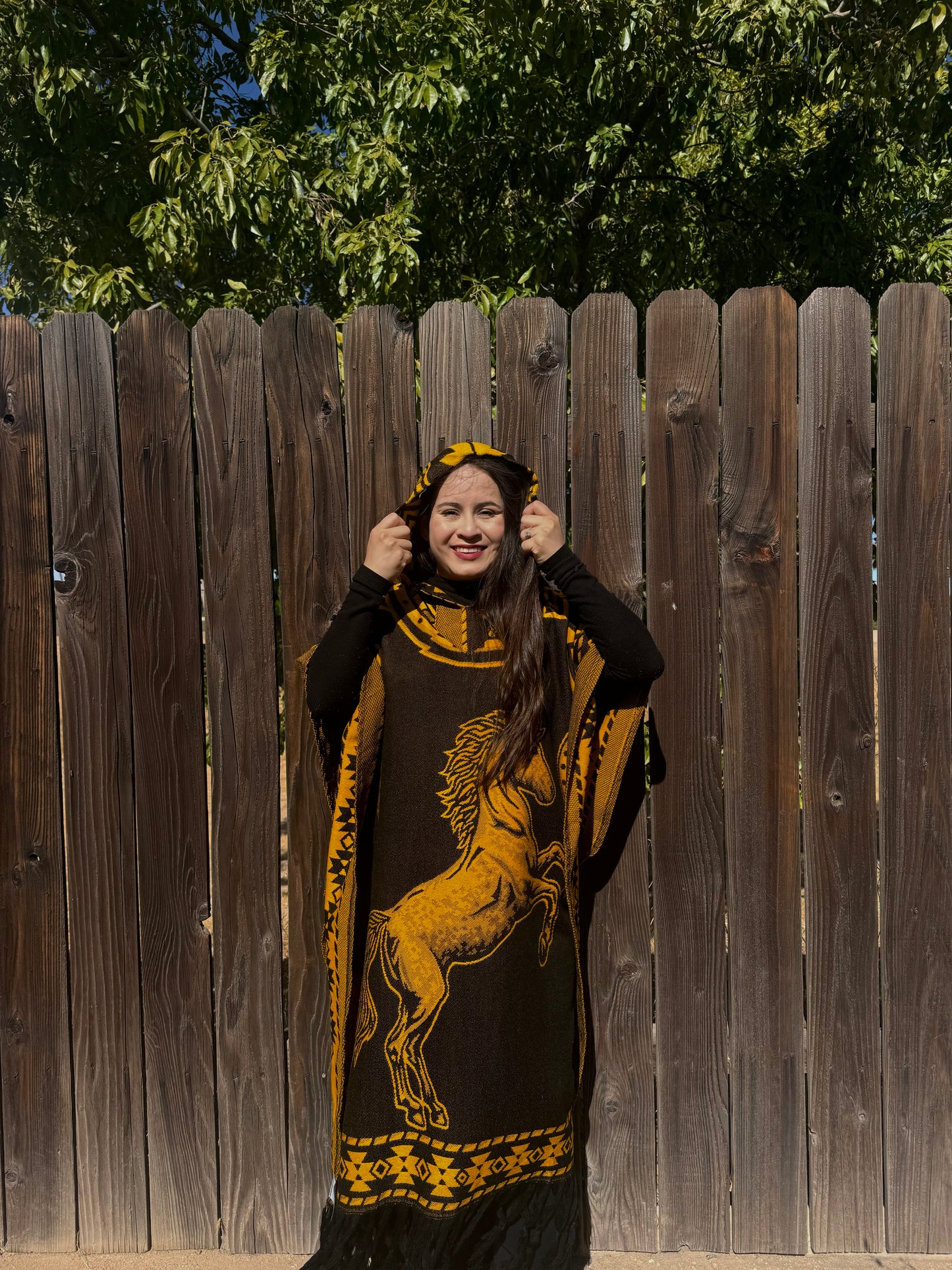 Caballo Poncho