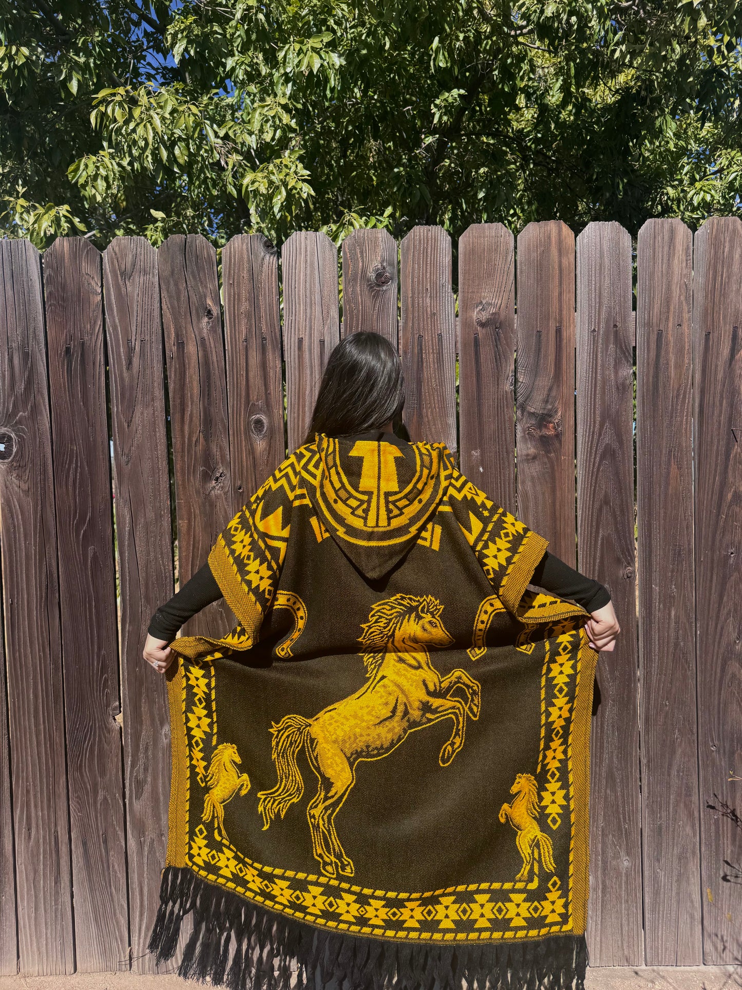 Caballo Poncho