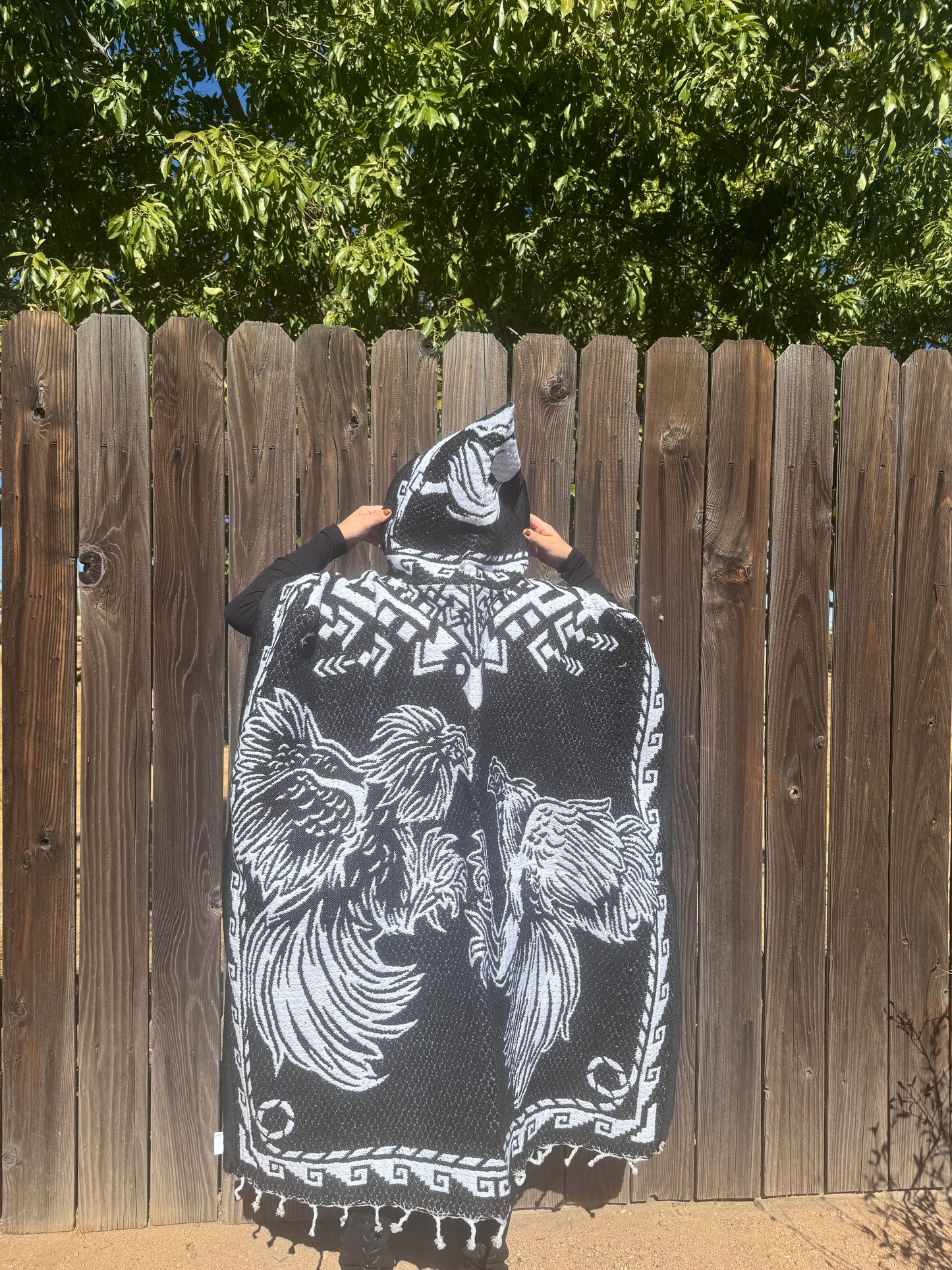El caballo poncho