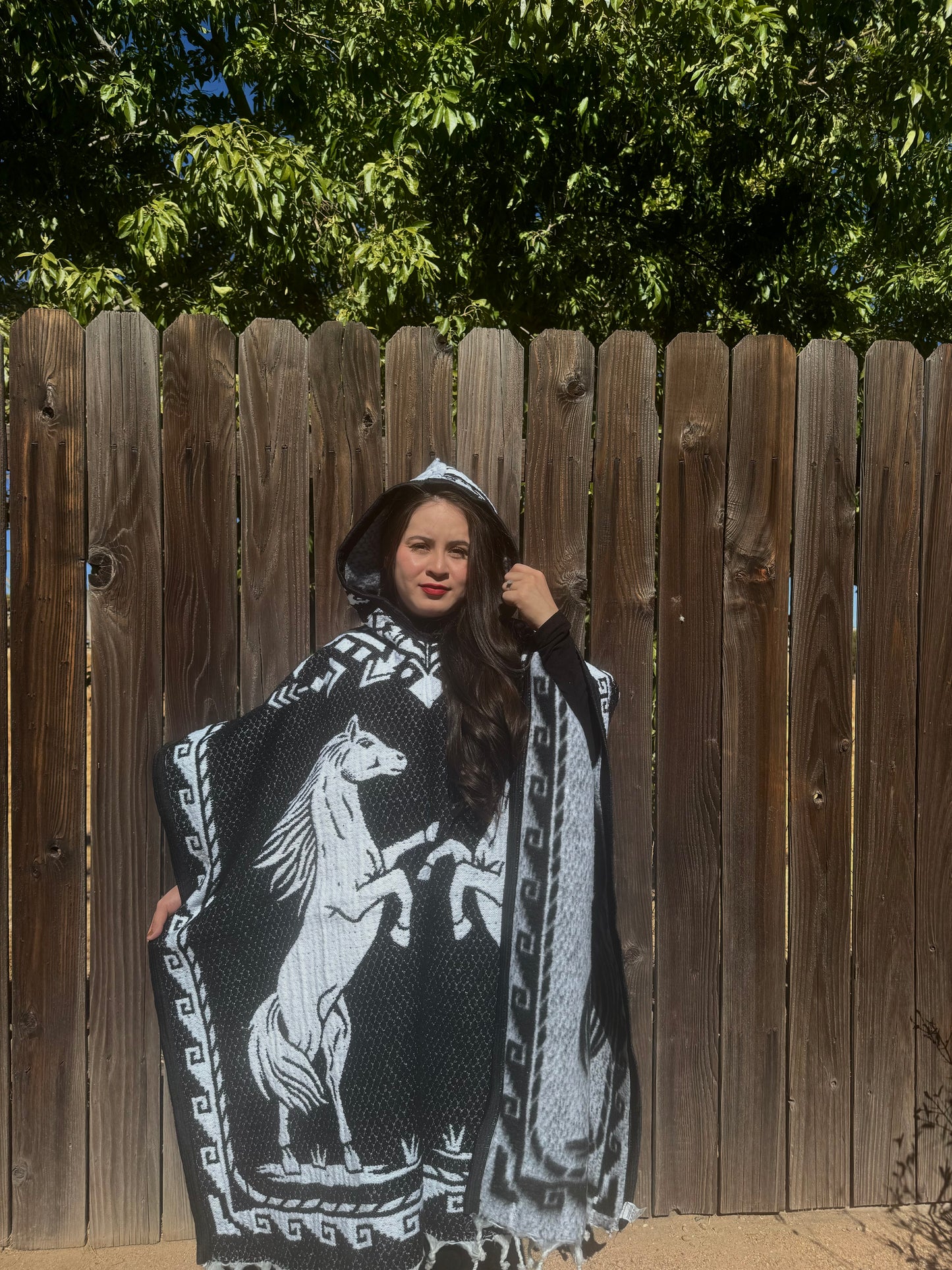 El caballo poncho